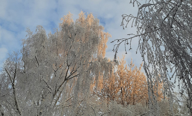 17 декабря в Кирове ожидается потепление и небольшой снег