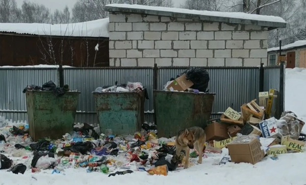 «Куприт» прокомментировал ситуацию с мусорным коллапсом в Демьяново