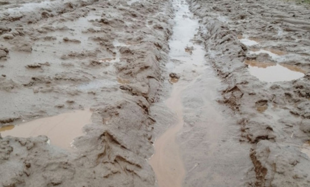 «Сапоги не могут вытащить из грязи»: кировчане бьют тревогу из-за бездорожья в пригороде