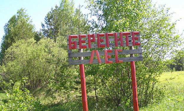 В лесах Кировской области ввели четвёртый класс пожарной опасности