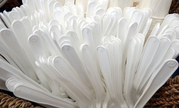 В России хотят запретить использование пластиковой посуды и ватных палочек