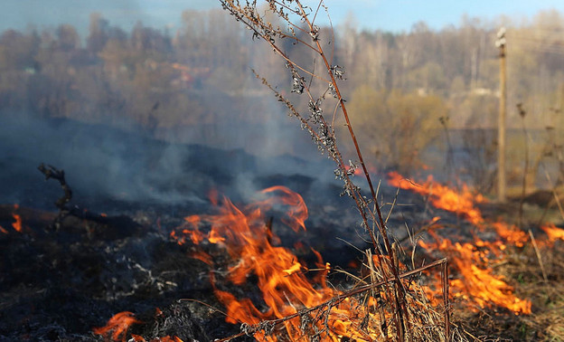 В Малмыжском районе произошёл первый в этом году поджог сухой травы