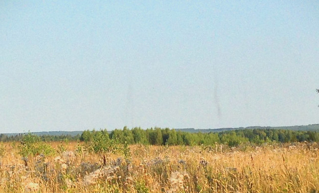 В Кировской области заметили 30-метровый торнадо из насекомых