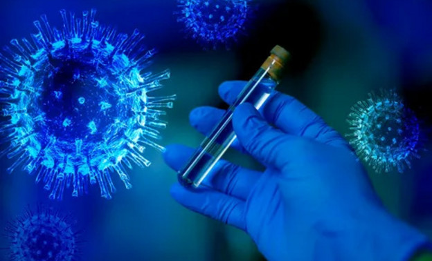 Два новых и более заразных вида коронавируса выявили в России