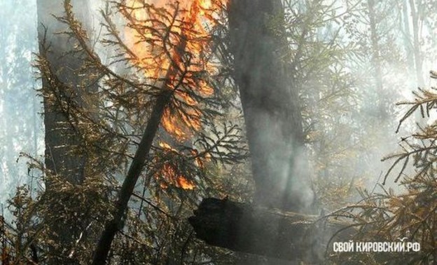 В Кировской области объявлен пожароопасный сезон