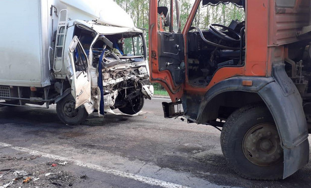 В Кикнурском районе водитель грузовика погиб после столкновения с КамАЗом