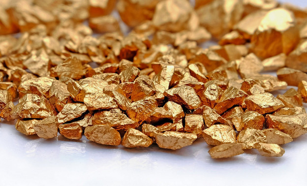 Вместе с мусором россияне выбрасывают почти 500 кг золота ежегодно