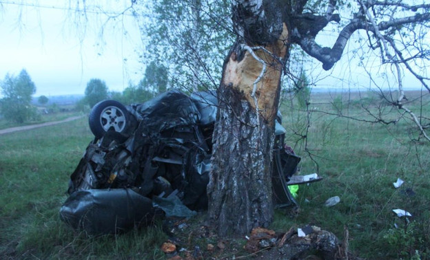 В Советском районе водитель «Лады» насмерть разбился об дерево