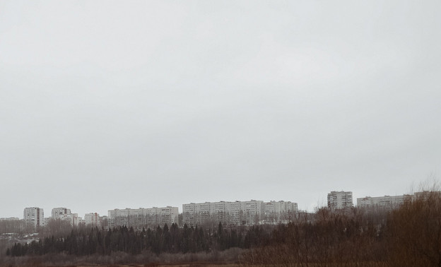 Депутат Немкин предупредил о мошенничестве в «Черную пятницу»