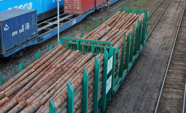 Кировская область наращивает экспорт леса в Иран