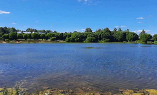 В Кирове разработали план по очистке пруда в Костино