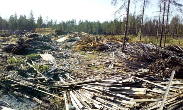 В Юрьянском районе обнаружили свалку древесных отходов