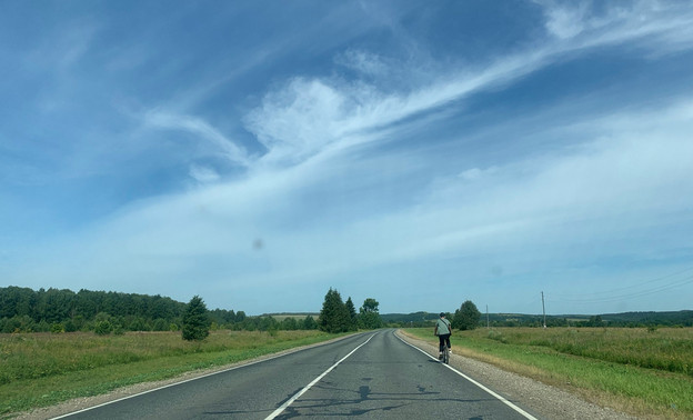 На дорогах Кировской области в октябре произошло 17 ДТП с дикими животными