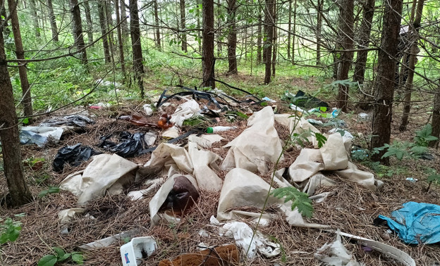Прокуратура заставила власти убрать свалку в селе Корляки