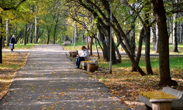 Кировчане предлагают создать новый парк на улице Ленина