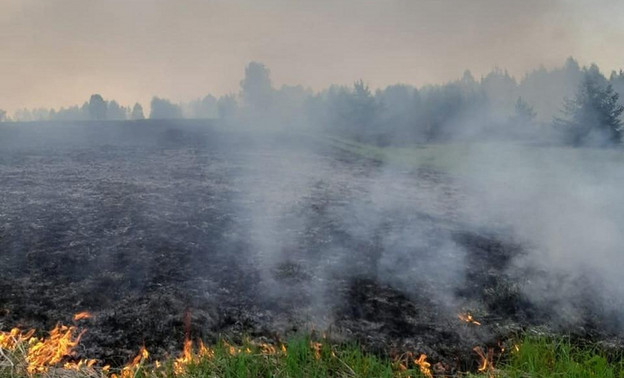 В Кировской области объявили чрезвычайную пожарную опасность
