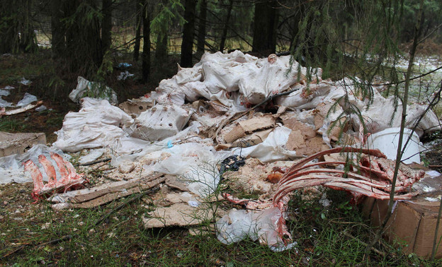 В окрестностях Кирова обнаружена свалка с останками животных
