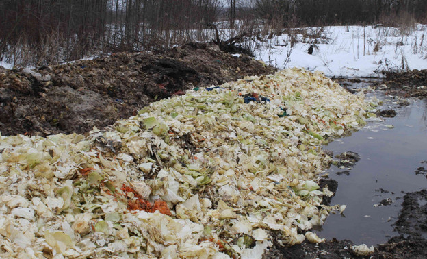 Рядом с Истобенском ликвидировали свалку пищевых отходов