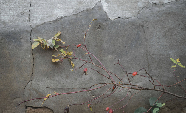 В Кировской области ожидается резкое похолодание