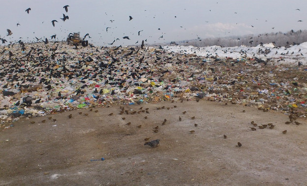 Новый этап мусорной реформы: кировчанам предлагают заключать договоры на вывоз отходов