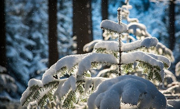 В Киров придут сильные снегопады