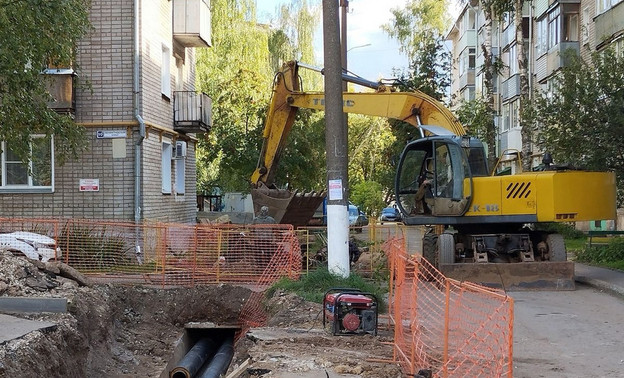 В Кирове энергетики спасли кошку с котёнком из подземных коммуникаций