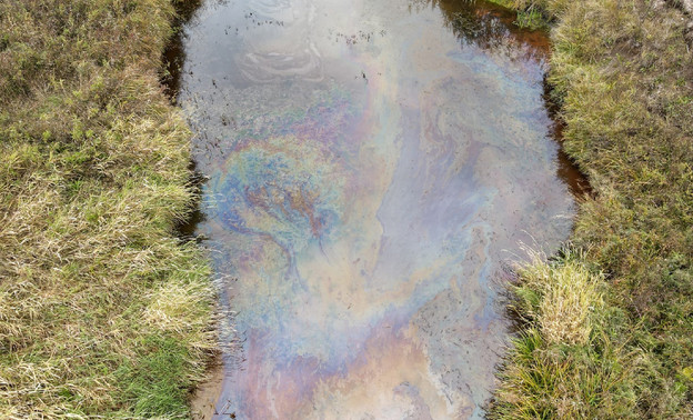 Анализ реки Черняница показал превышение концентрации нефтепродуктов в 7,4 раза