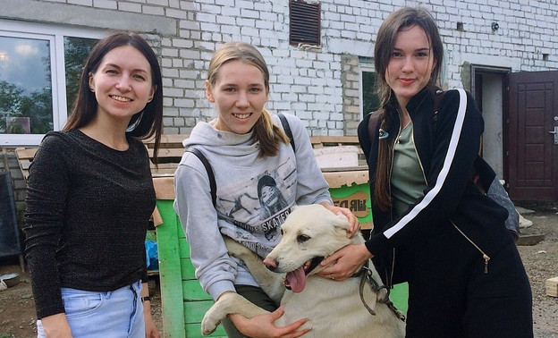 Сотрудники Почты России собрали корм для собак из приюта