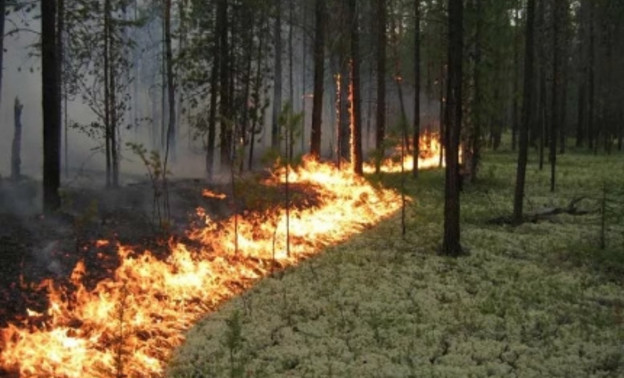 В Кировской области произошёл первый природный пожар