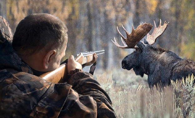 Охотник из Лебяжского района выплатил крупную компенсацию за убийство лося