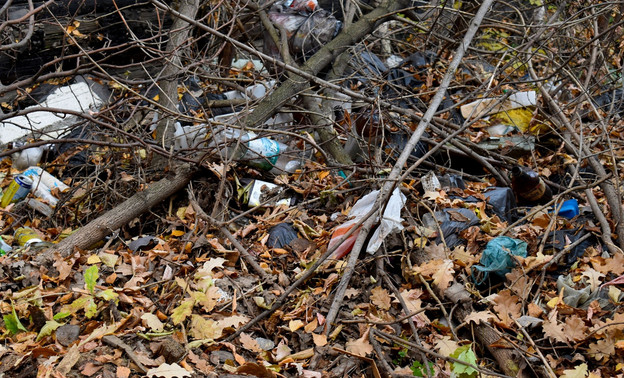 В Уржуме откроют временный полигон для растительного мусора