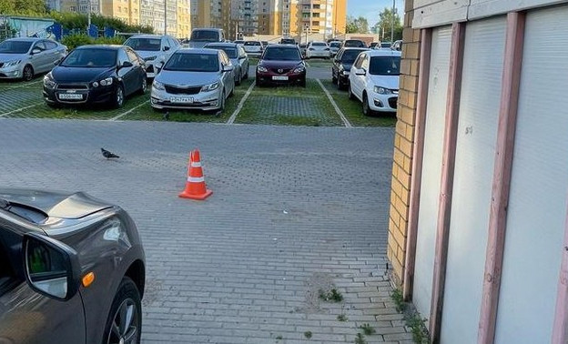 В Кирове водитель «Хавала» сбил велосипедиста