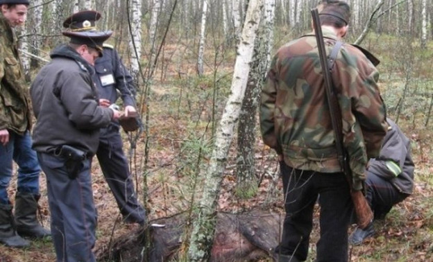 МВД и Росгвардия будут патрулировать  леса