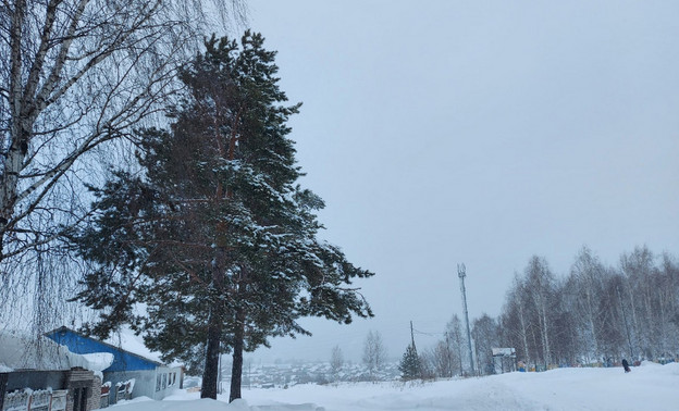 Погода в Кирове 29 и 30 января. Ожидается небольшой снег и потепление