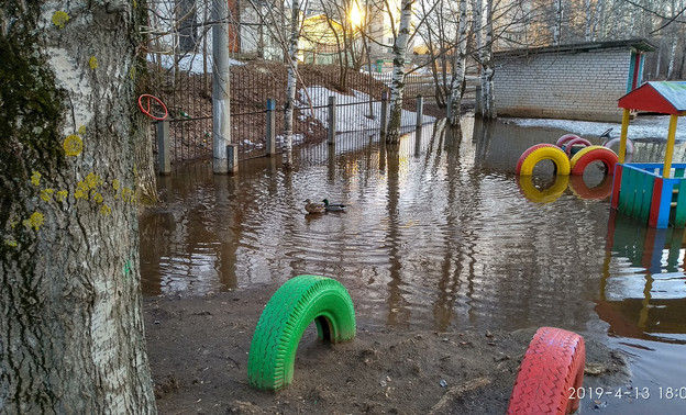 На затопленной площадке детсада в Кирове поселились утки