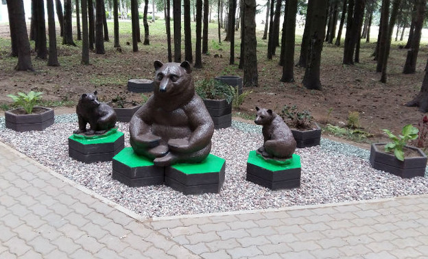 В Кирове в микрорайоне Радужный появились медведи