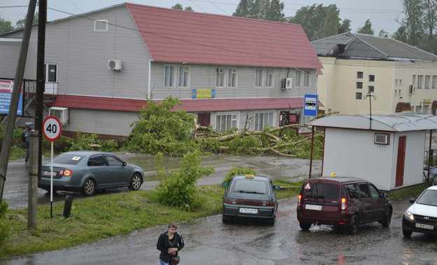 Ураган в Кировской области повалил деревья и оставил без света десятки населённых пунктов