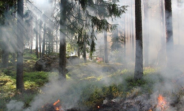 За полгода в лесах Кировской области произошло 15 пожаров