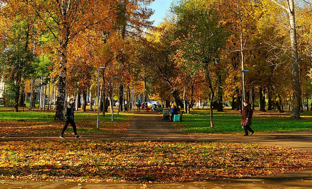 Кировчане могут высказать предложения по благоустройству парка Гагарина