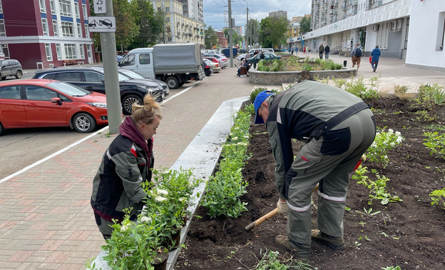 На Карла Маркса высадили спирею японскую