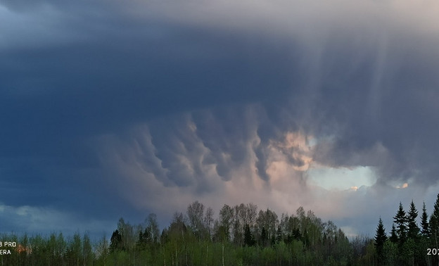 В Кировской области сфотографировали редкие вымеобразные облака