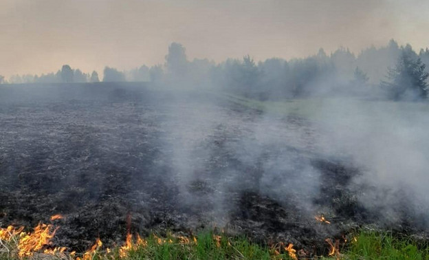В Кировской области объявили высокую пожарную опасность