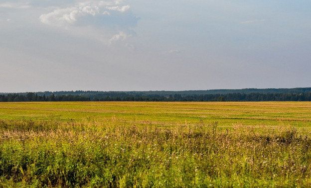 В текущем году в Кировской области намолотили на 122 тысячи тонн зерна больше, чем в 2021-м