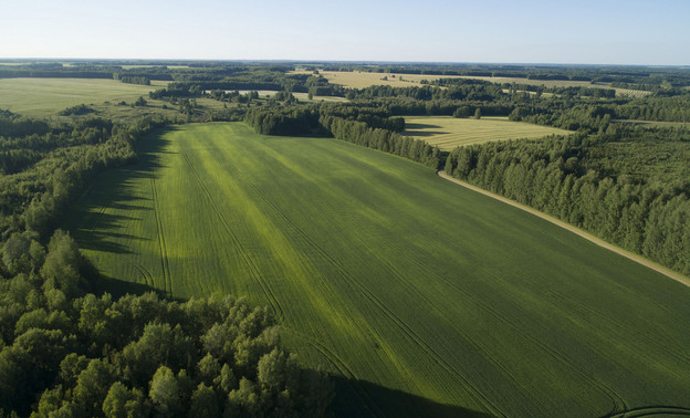 Заброшенные земли Кировской области возвращают в сельхозоборот