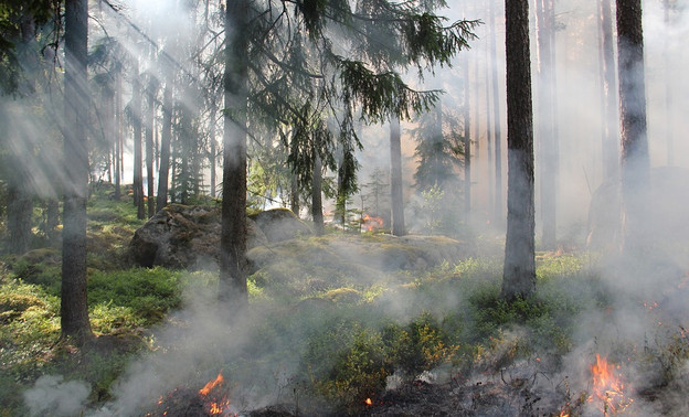 МЧС объявило о высокой опасности пожаров в кировских лесах