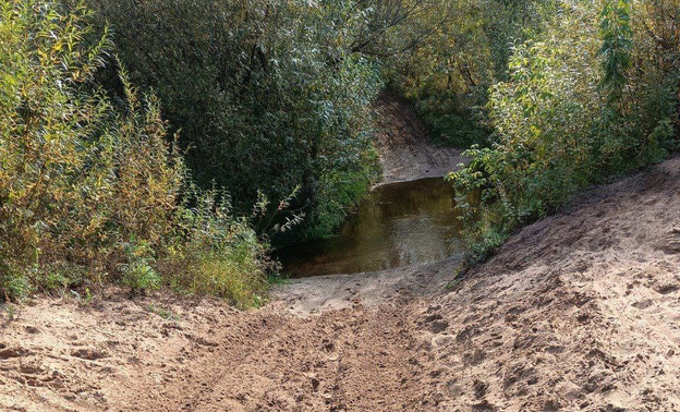 В Заречном парке проведут рейды по поиску нарушителей режима охраны памятника природы