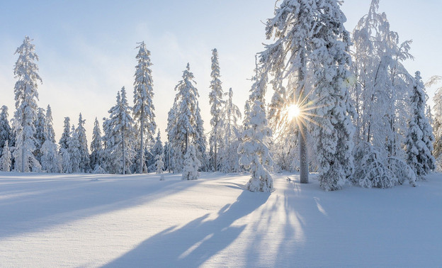 В феврале в Кировскую область могут прийти морозы до -35 градусов