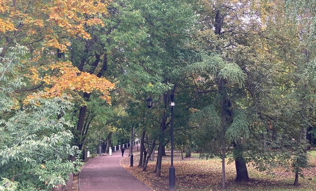 В Кировской области состоится второе голосование за благоустройство парков и скверов региона