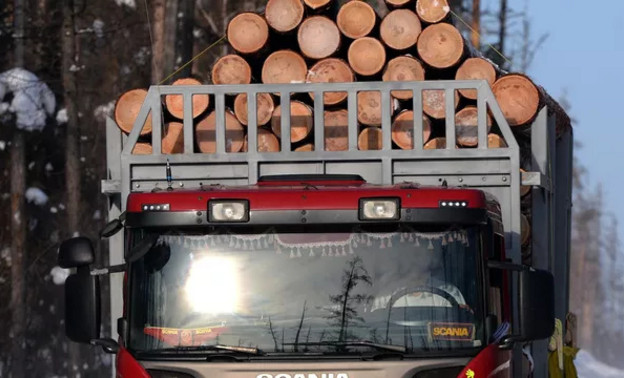 Из Кировской области вывезли 3,2 тысячи кубометров древесины без сертификатов