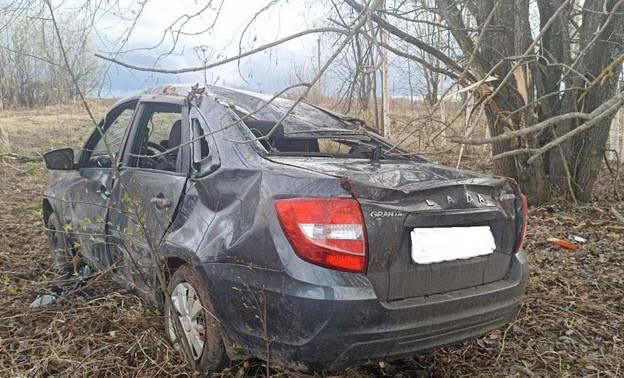 В Кирово-Чепецке пьяный водитель «Гранты» врезался в дерево